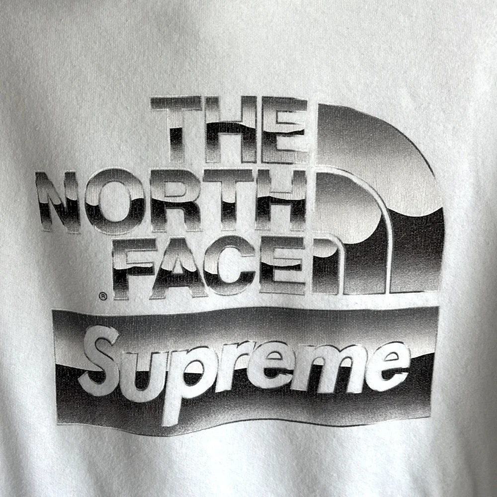 Supreme SP18 The North Face Metallic Logo Hooded Sweatshirt, M - Picture 3 of 10